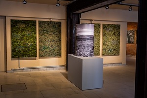 Pinta Asunción Art Week: Todas las actividades del 12 de septiembre