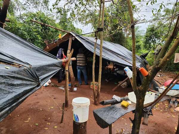 Destruyen plantación y acopio de marihuana en San Pedro - Nacionales - ABC Color
