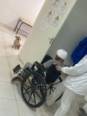 Popular / ¡Tierno!: Jagua'i no se despegó de su dueño herido por malvivientes en el hospital tras rescatarlo