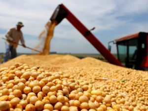 Menor producción de soja limita crecimiento económico
