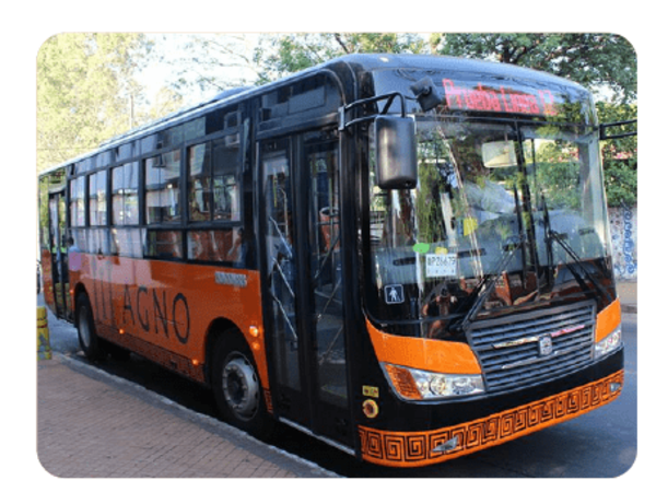 Dueño de Línea 12 lamenta quedar fuera del Transporte Nocturno y enterarse por redes