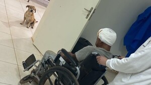 Ni los golpes separaron a "Pequeño" de su dueño: le siguió hasta el hospital