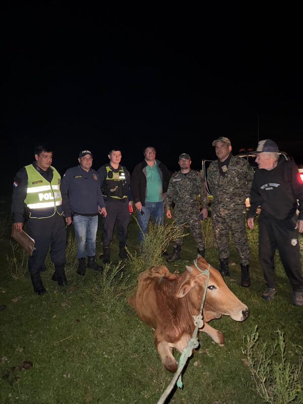 La Dirección de Policía de Guairá informó la recuperación de un animal vacuno, y dos motocicletas