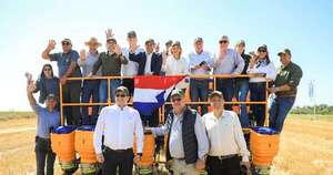 Siembra de soja genera gran optimismo