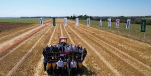 Con protagonismo de pequeños y grandes productores, arranca la siembra de soja 2025