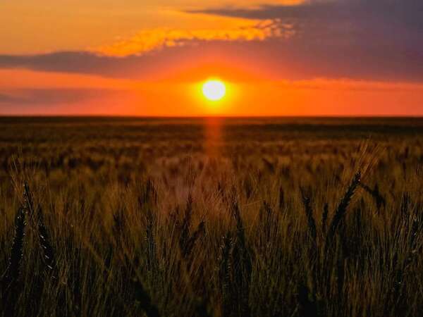 AUDIO: Pronostican un sábado con amanecer fresco y luego caluroso por la tarde - Contacto Ciudadano - ABC Color