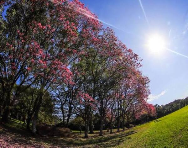 Sábado con ambiente cálido a caluroso a nivel nacional