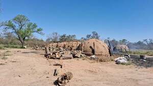 Fiscalía inspecciona tierras indígenas en Boquerón por presunta tala ilegal - PDS RADIO Y TV