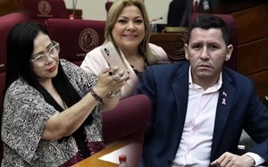 Oposición evalúa denunciar a senadores cartistas