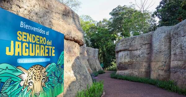 La Nación / Tekotopa: Itaipú abre sendero ecológico en complejo declarado de interés nacional