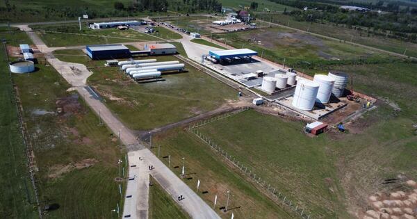 La Nación / Planta de etanol promete marcar un hito en la industrialización de Coronel Oviedo