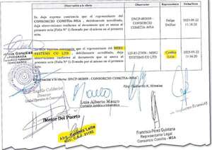 Abogada de Miru Systems fue parte del gabinete de transición de Peña - Política - ABC Color