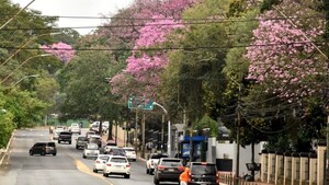 Probabilidades de tormentas aumentan para este domingo con ambiente caluroso