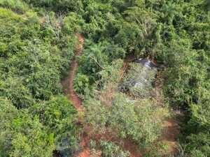 Destruyen plantación y centro de acopio de marihuana en San Pedro