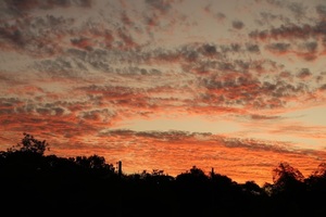 Calor, humedad y lluvias como constante del inicio de semana