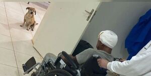 La lealtad: el perro que no dejó solo a don Evaristo ni en el hospital