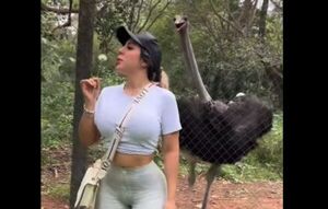 Popular / ¡El divertido momento de Ainara con un avestruz!