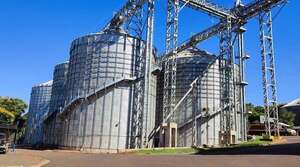 Silos llenos y bajos precios complican al sector agrícola - Economía - ABC Color