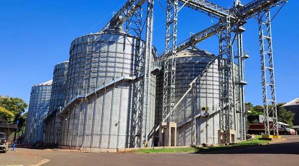 Silos llenos y bajos precios complican al sector agrícola - Economía - ABC Color