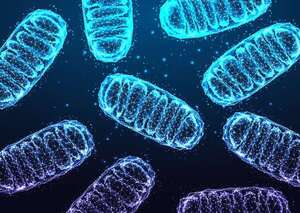 Revolución médica: nuevo tratamiento mejora la vida de un niño con enfermedad mitocondrial  - Ciencia - ABC Color