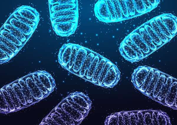 Revolución médica: nuevo tratamiento mejora la vida de un niño con enfermedad mitocondrial  - Ciencia - ABC Color