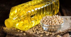 La Nación / Paraguay exporta productos industrializados de la soja a 40 mercados internacionales