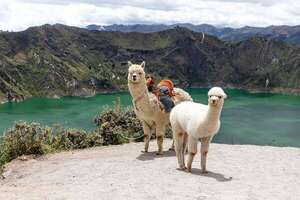 Quilotoa: un cráter volcánico que desafía la percepción con su lago turquesa - Viajes - ABC Color