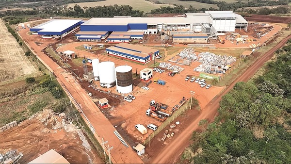 Frigorífico en Katueté iniciará faena de 3.000 cerdos