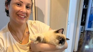 Buscan a gatita que ayuda en terapia de una adolescente