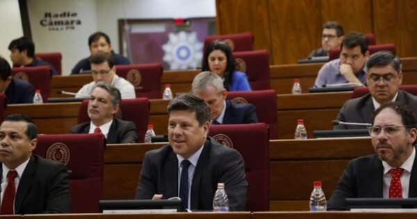 Diario HOY | Ministro de MIC aclara que no hay planes para privatizar la ANDE