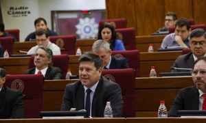 Ministro del MIC aclara ante el Congreso: “No hay intención de privatizar la ANDE” - OviedoPress