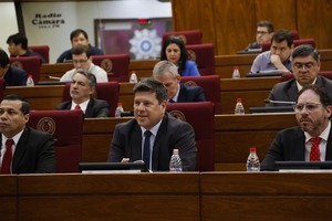 Niegan que el Gobierno tenga intención de privatizar ANDE - ADN Digital