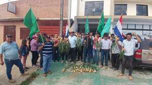 Productores de cebolla exigen freno al contrabando y prioridad de mercado - Nacionales - ABC Color