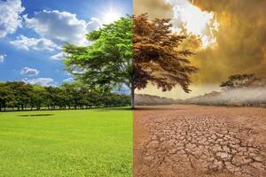 Lanzan curso virtual para fortalecer la resiliencia escolar frente al cambio climático