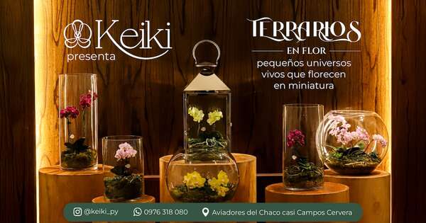 La Nación / Keiki presenta su colección de primavera “Terrarios en Flor”