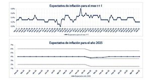 El mercado espera precios más estables y suba moderada del dólar para fin de año
