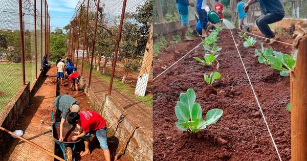 La Nación / Con miras a la reinserción, jóvenes crean “anillo verde” en Centro Educativo de CDE
