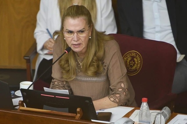 Ministerio de Salud expuso ante la Comisión Bicameral su plan de gastos para el 2026