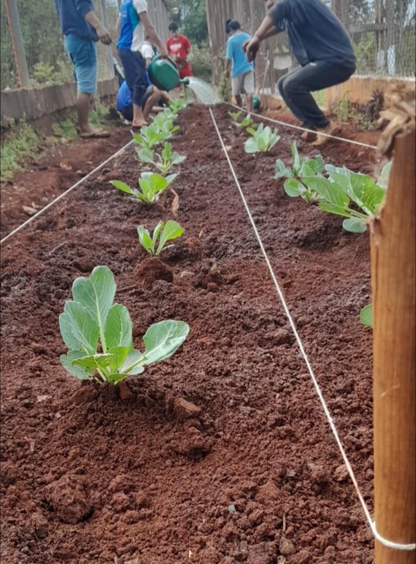 Jóvenes del Centro Educativo se capacitan en horticultura con apoyo del SNPP - ADN Digital