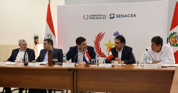 La Nación / Perú inicia proceso de auditoría para abrir su mercado a carne porcina paraguaya