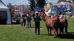 Genética Senepol paraguaya fue presentada en Expo Prado Uruguay y despierta interés regional