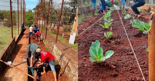 La Nación / CDE: crean anillo verde en Centro Educativo
