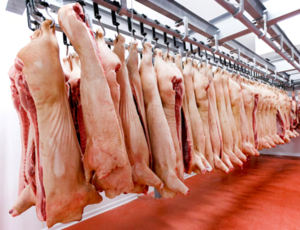 Apuntan a cerrar el 2025 con 20.000 toneladas de carne porcina exportada