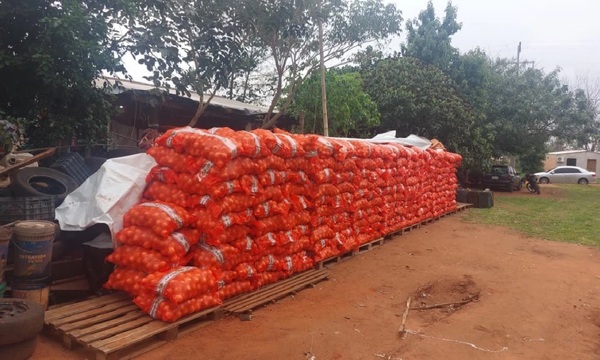 Contrabando de cebolla, decomisan millonaria carga en Santa Rosa del Aguaray - OviedoPress