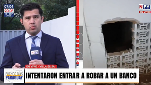 Delincuentes hicieron boquetes e intentaron robar un banco en Villa Elisa