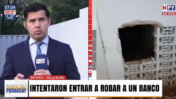 Delincuentes hicieron boquetes e intentaron robar un banco en Villa Elisa