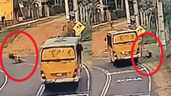 Se cayó con su moto frente a un micro y se salvó de milagro