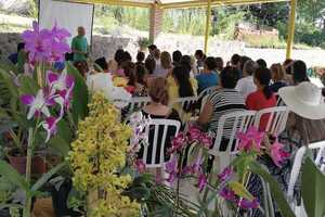 En Ciudad del Este recibirán la primavera con una expo feria - ADN Digital