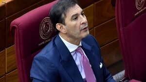 Caso de Yamy Nal "desprestigia" al Senado y es "diferente" a causa de Rivas, dice Ovelar