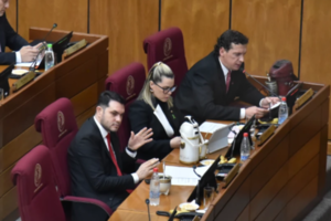 Senadores oficialistas evalúan acciones legales contra Yamy Nal por difamación y calumnia